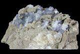 Purple/Gray Fluorite Cluster - Marblehead Quarry Ohio #81199-2